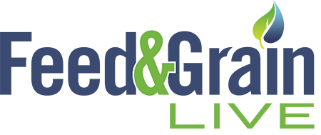 logo-fglive-2017-sm.png