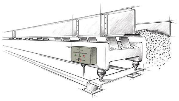 Vibratory Conveyor with Vibration Monitor